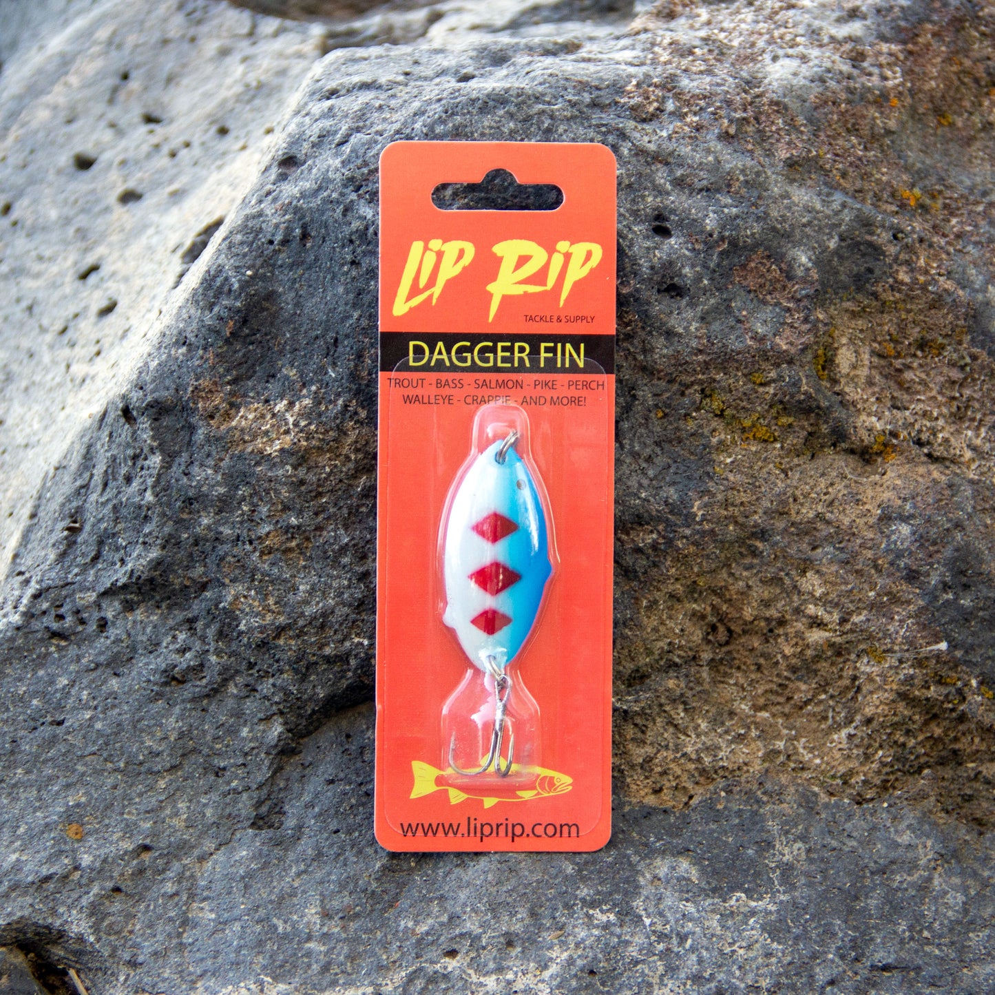DAGGER FIN (blue/white)