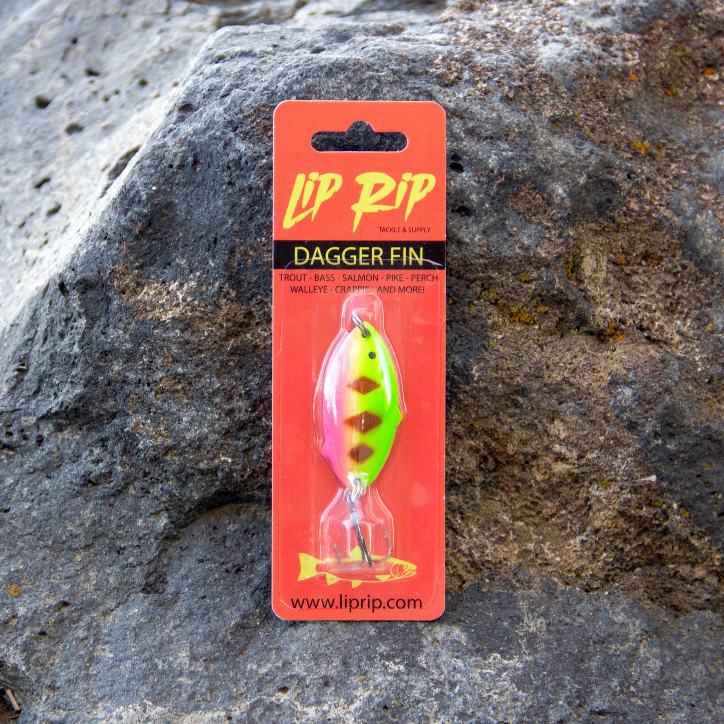 DAGGER FIN (pink/green)
