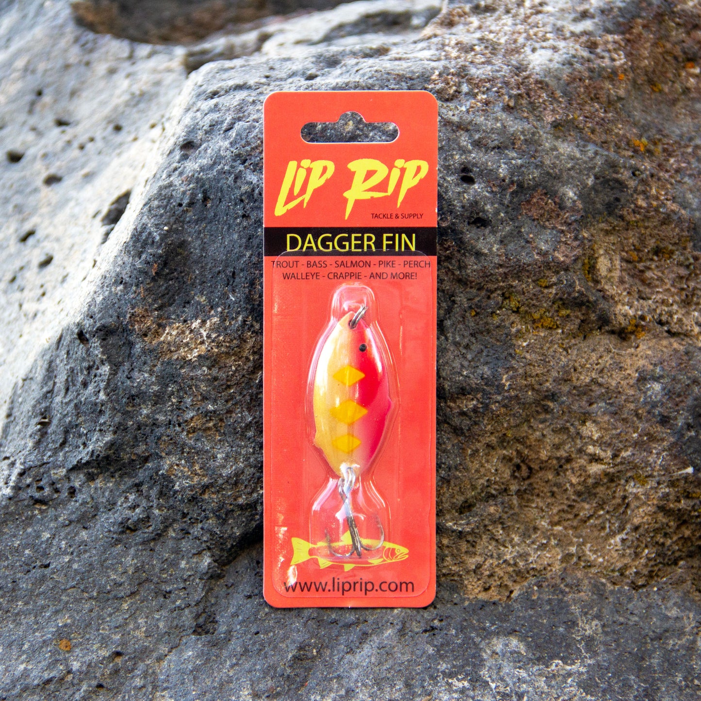 DAGGER FIN (red/gold)
